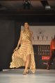 Hyderabad International Fashion Week 2011 (Day 1)