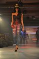 Hyderabad International Fashion Week 2011 (Day 2)