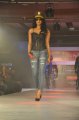 Hyderabad International Fashion Week 2011 (Day 2)