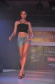 Hyderabad International Fashion Week 2011 (Day 2)