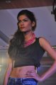 Hyderabad International Fashion Week 2011 (Day 2)