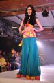 Hyderabad International Fashion Week 2011 (Day 2)