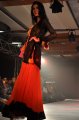 Hyderabad International Fashion Week 2011 (Day 2)