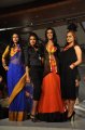 Hyderabad International Fashion Week 2011 (Day 2)