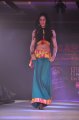 Hyderabad International Fashion Week 2011 (Day 2)