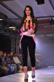 Hyderabad International Fashion Week 2011 (Day 2)