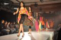 Hyderabad International Fashion Week 2011 (Day 2)