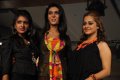 Hyderabad International Fashion Week 2011 (Day 2)