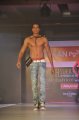 Hyderabad International Fashion Week 2011 (Day 2)