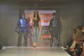 Hyderabad International Fashion Week 2011 (Day 2)