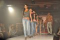 Hyderabad International Fashion Week 2011 (Day 2)