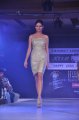 Hyderabad International Fashion Week 2011 (Day 3)