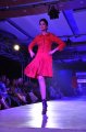 Hyderabad International Fashion Week 2011 (Day 3)