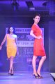 Hyderabad International Fashion Week 2011 (Day 3)