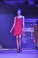 Hyderabad International Fashion Week 2011 (Day 3)