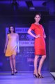 Hyderabad International Fashion Week 2011 (Day 3)