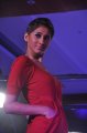 Hyderabad International Fashion Week 2011 (Day 3)