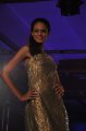 Hyderabad International Fashion Week 2011 (Day 3)