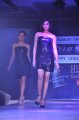 Hyderabad International Fashion Week 2011 (Day 3)