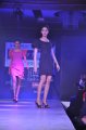 Hyderabad International Fashion Week 2011 (Day 3)