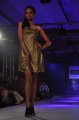 Hyderabad International Fashion Week 2011 (Day 3)