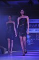 Hyderabad International Fashion Week 2011 (Day 3)