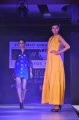 Hyderabad International Fashion Week 2011 (Day 3)