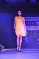 Hyderabad International Fashion Week 2011 (Day 3)