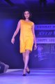 Hyderabad International Fashion Week 2011 (Day 3)