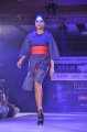 Hyderabad International Fashion Week 2011 (Day 3)