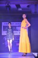 Hyderabad International Fashion Week 2011 (Day 3)