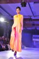 Hyderabad International Fashion Week 2011 (Day 3)