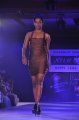 Hyderabad International Fashion Week 2011 (Day 3)