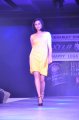 Hyderabad International Fashion Week 2011 (Day 3)