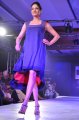 Hyderabad International Fashion Week 2011 (Day 3)