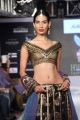 Hyderabad International Fashion Week 2013 Day 1 Stills