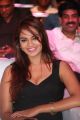 Actress Jiya @ Hyderabad Love Story Audio Launch Stills