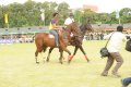 hyderabad_polo_final_match_1868