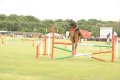 Hyderabad Polo Final Match