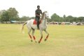 Hyderabad Polo Final Match