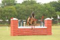 Hyderabad Polo Final Match