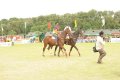 hyderabad_polo_final_match_7879