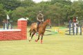 Hyderabad Polo Final Match