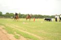 Hyderabad Polo Final Match