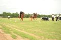 Hyderabad Polo Final Match