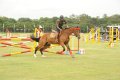 Hyderabad Polo Final Match