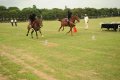 Hyderabad Polo Final Match