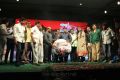 Ice Cream 2 Movie Audio Release Function Stills