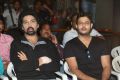 Ice Cream 2 Platinum Disc Function Stills