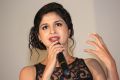 Ice Cream 2 Movie Press Meet Stills